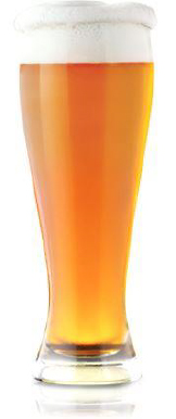 Belly Slide Wit beer