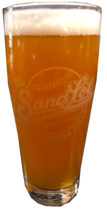 Rain Delay Hazy IPA beer