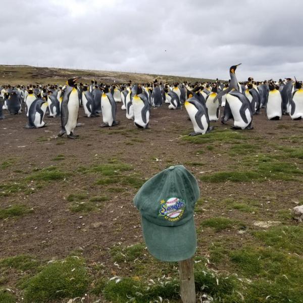 Sandlot cap - Volunteer Point Falkland Islands